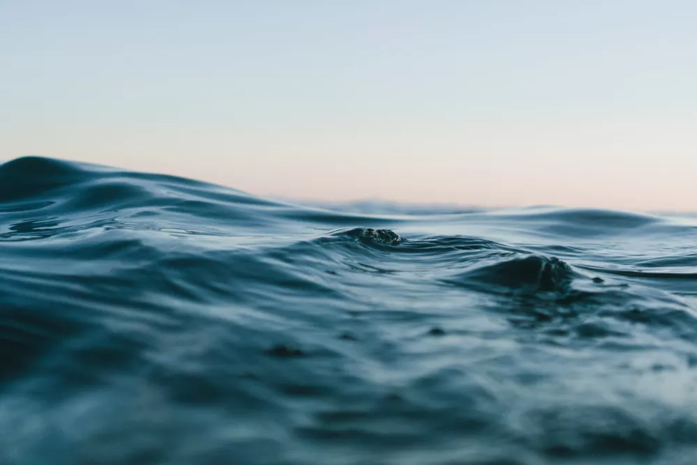 wave dialectic behavioural